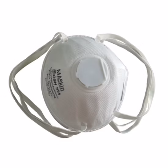 N95 Mask 288 Cone Face Mask N95 Face Masks