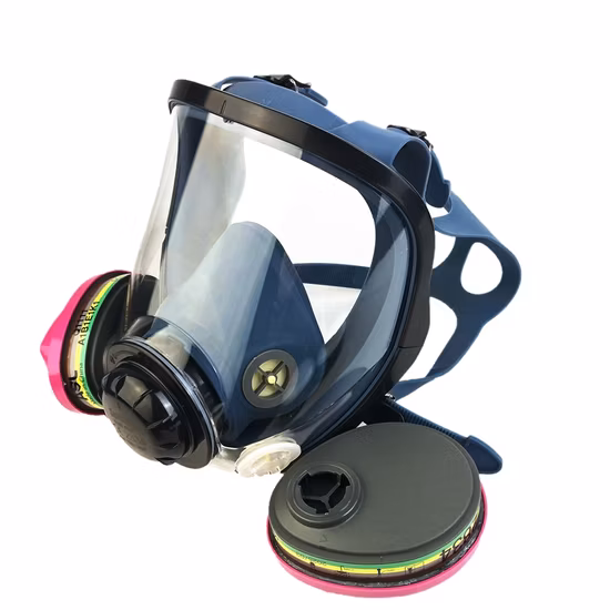 New Types Double Filters Safety Gas Mask Nylon Bag Packed Full Face Portable Gas Mask