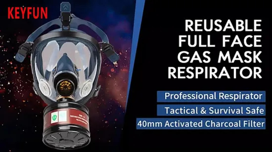 Full Face Organic Vapor Dual Activated Charcoal Filtration Full Face Eye Protefull Face Gas Mask Full Facepiece Reusable Respirator 